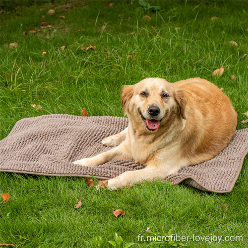 Serviettes de bain pour animaux de compagnie propres et absorbantes chenille en microfibre